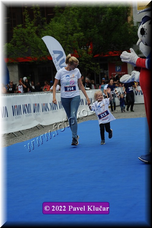 Náhled obrázku: 2022-5024-Zlin-213,214.JPG