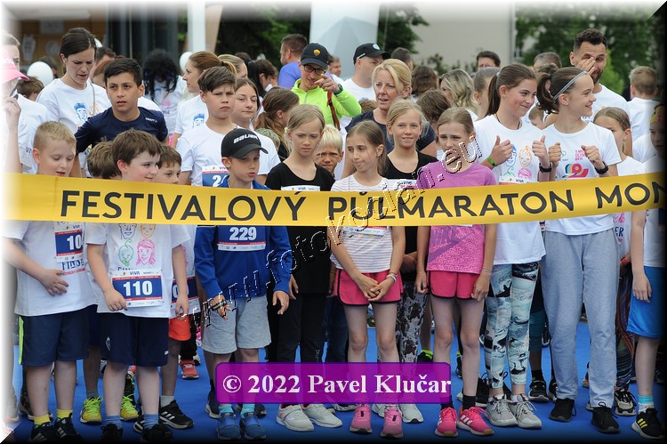 Náhled obrázku: 2022-4219-Zlin-229,110.JPG