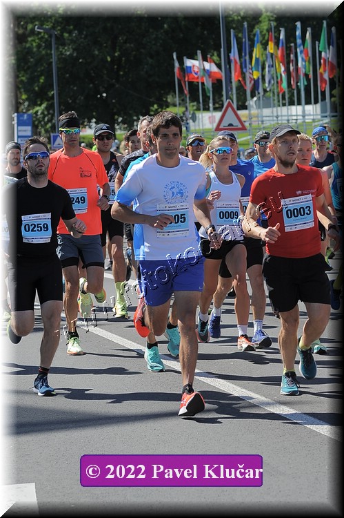 Náhled obrázku: 3,5,259.JPG