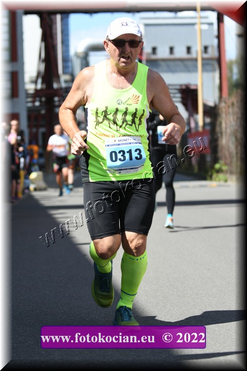 Náhled obrázku: 2022-1293-Zlin-313.JPG