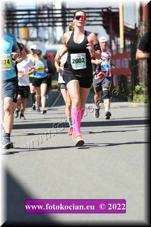 Náhled obrázku: 2022-1318-Zlin-2002.JPG