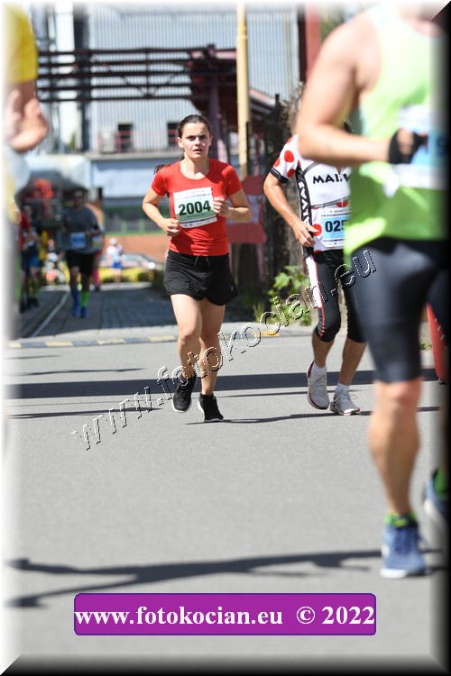 Náhled obrázku: 2022-1378-Zlin-2004.JPG