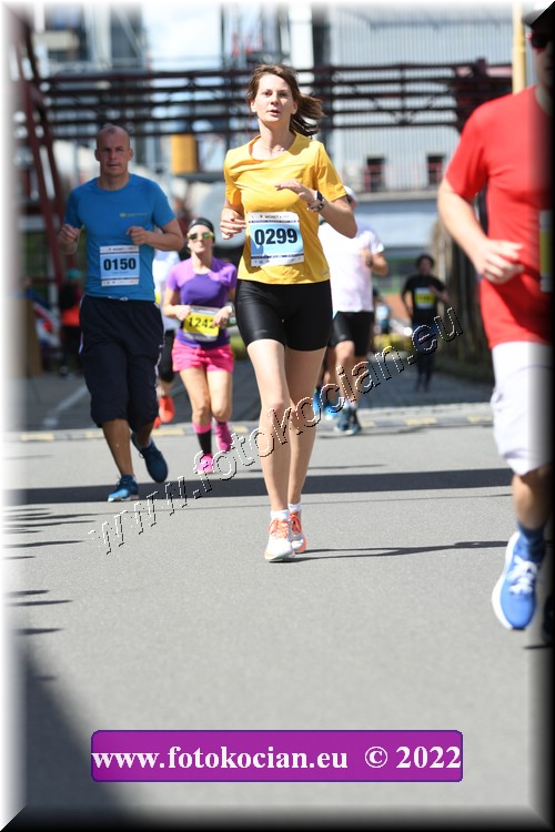 Náhled obrázku: 2022-1629-Zlin-299,150.JPG