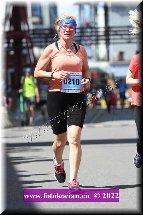 Náhled obrázku: 2022-1705-Zlin-210.JPG