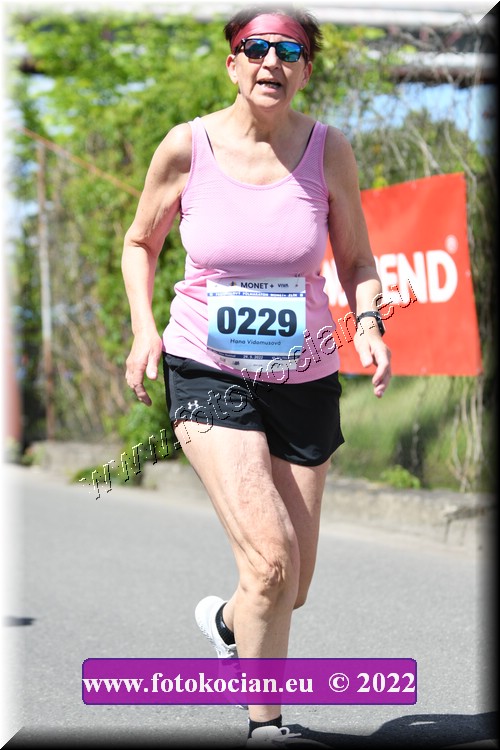 Náhled obrázku: 2022-1829-Zlin-229.JPG