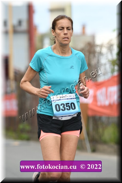 Náhled obrázku: 2022-2248-Zlin-350.JPG