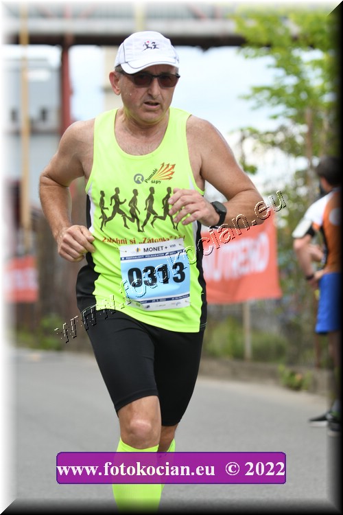 Náhled obrázku: 2022-2294-Zlin-313.JPG