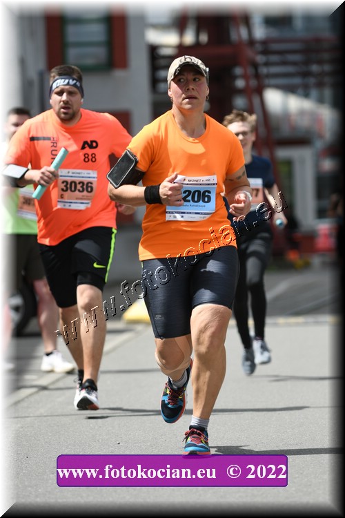 Náhled obrázku: 2022-2526-Zlin-206.JPG