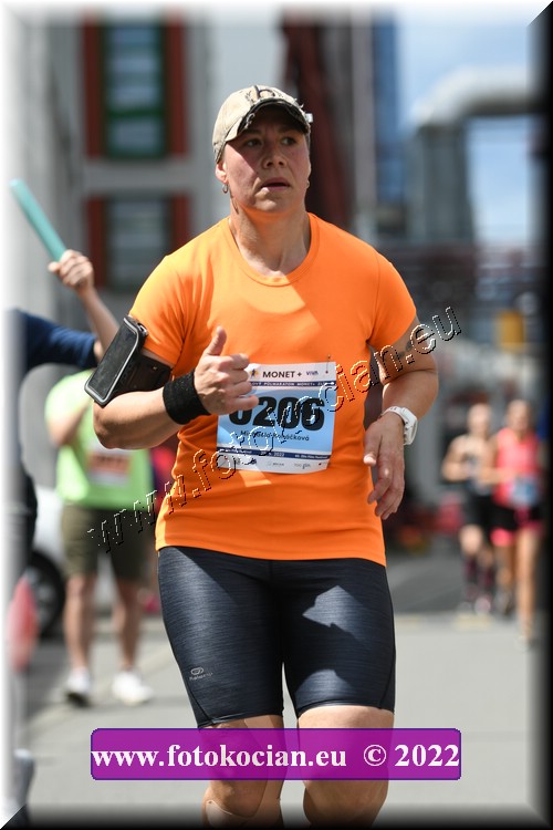 Náhled obrázku: 2022-2529-Zlin-206.JPG