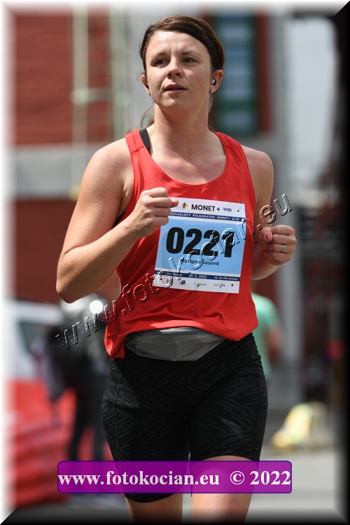 Náhled obrázku: 2022-2550-Zlin-221.JPG