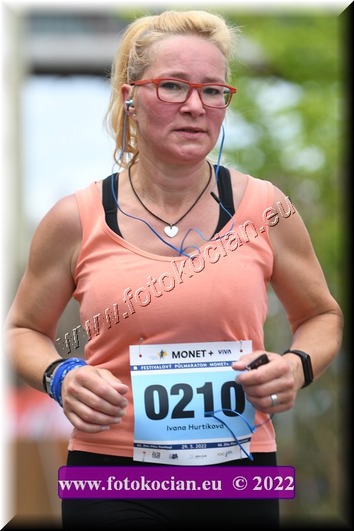 Náhled obrázku: 2022-2745-Zlin-210.JPG