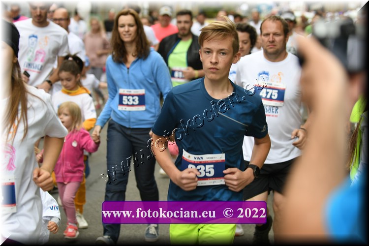 Náhled obrázku: 2022-2863-Zlin-235.JPG