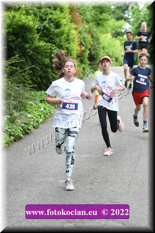 Náhled obrázku: 2022-2874-Zlin-439,463.JPG