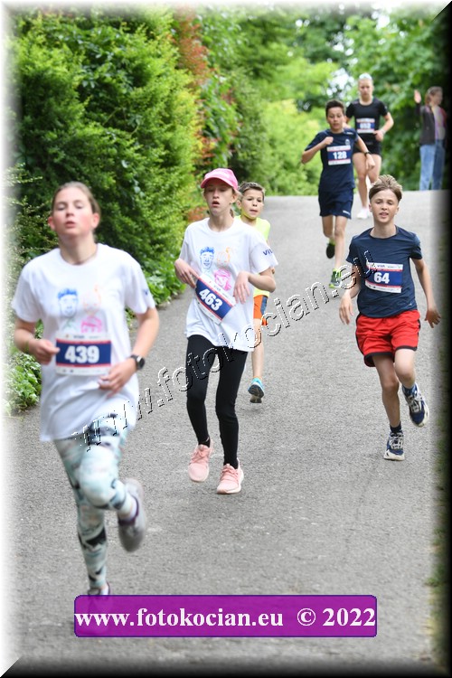 Náhled obrázku: 2022-2875-Zlin-463,64.JPG