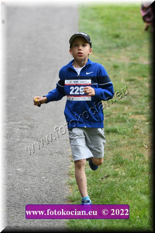 Náhled obrázku: 2022-2878-Zlin-229.JPG