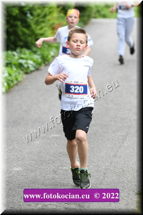 Náhled obrázku: 2022-2883-Zlin-320.JPG