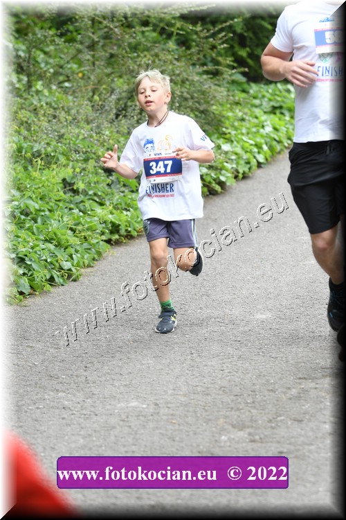 Náhled obrázku: 2022-2896-Zlin-347.JPG