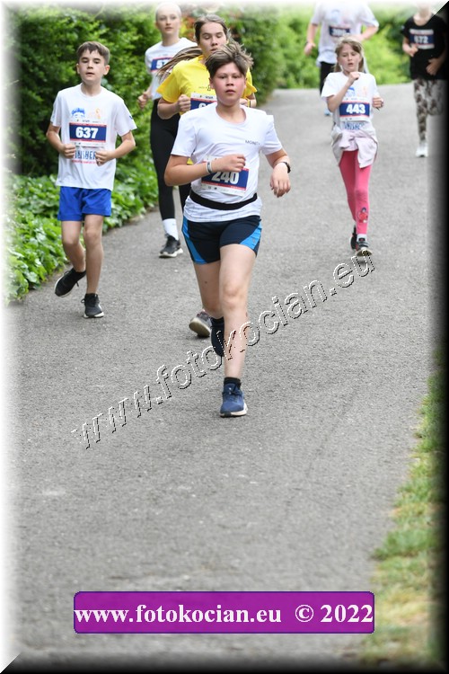 Náhled obrázku: 2022-2903-Zlin-240,637.JPG