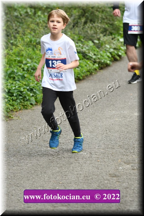 Náhled obrázku: 2022-2931-Zlin-136.JPG