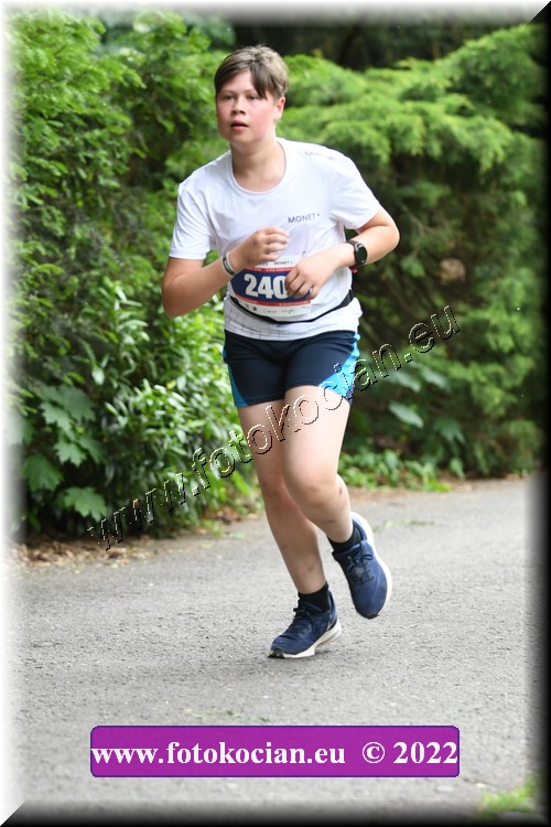 Náhled obrázku: 2022-2956-Zlin-240.JPG