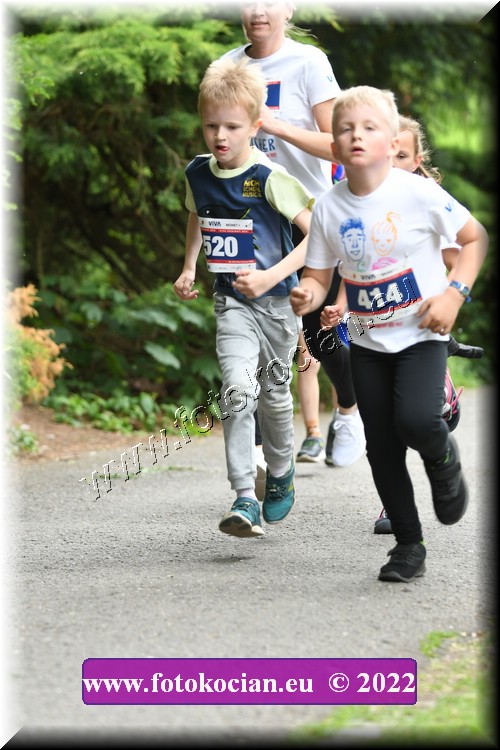 Náhled obrázku: 2022-2971-Zlin-520,414.JPG