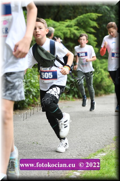 Náhled obrázku: 2022-2994-Zlin-505.JPG