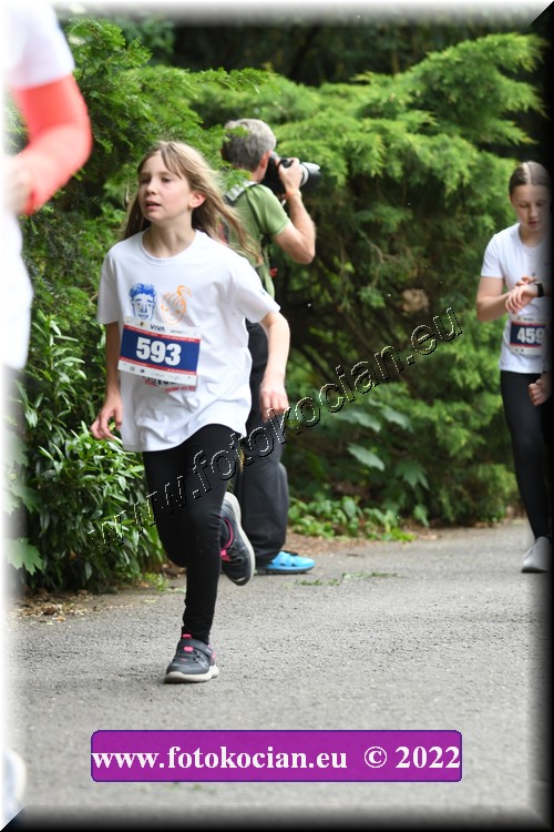 Náhled obrázku: 2022-2997-Zlin-593.JPG