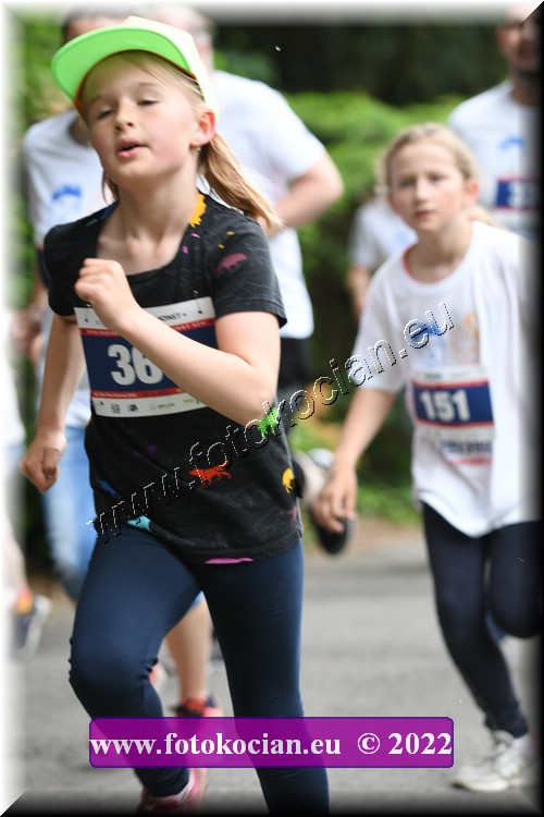 Náhled obrázku: 2022-3042-Zlin-365.JPG