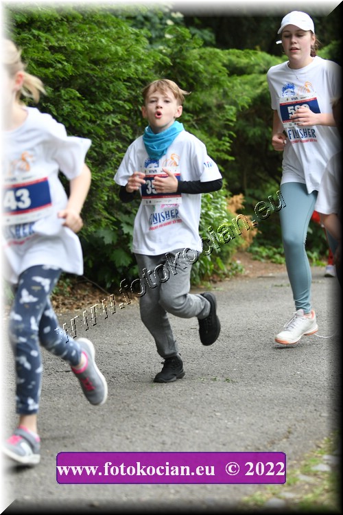 Náhled obrázku: 2022-3060-Zlin-350,589.JPG