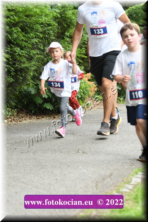 Náhled obrázku: 2022-3063-Zlin-134,133.JPG