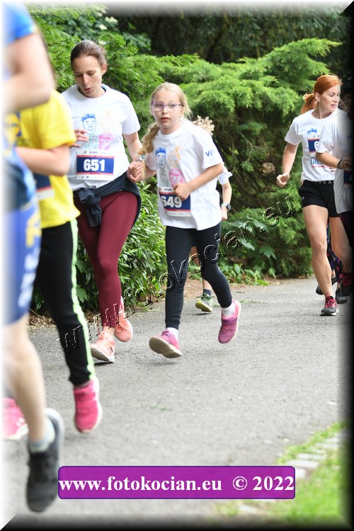 Náhled obrázku: 2022-3099-Zlin-651,649.JPG