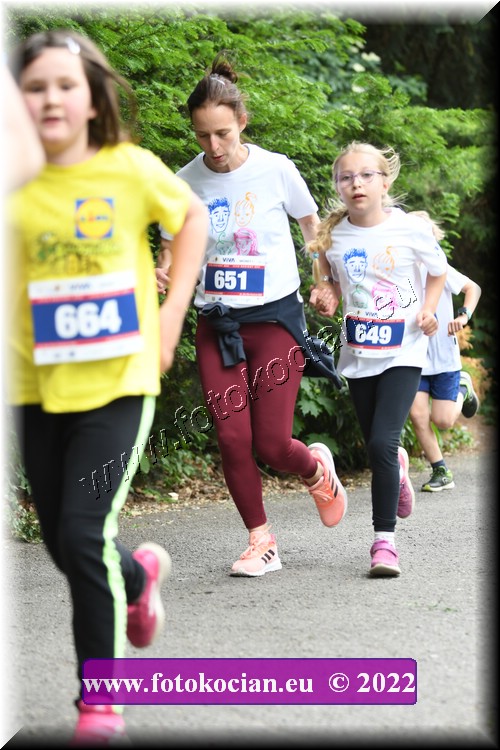 Náhled obrázku: 2022-3100-Zlin-651,649.JPG