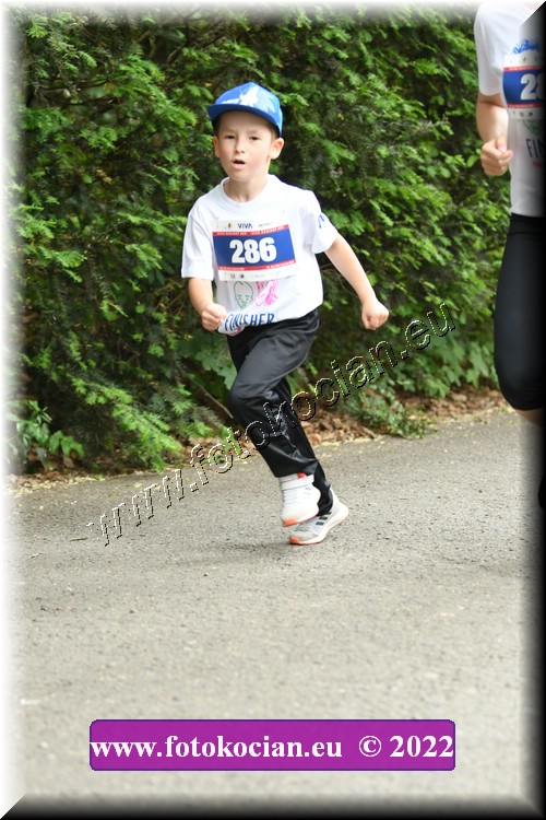 Náhled obrázku: 2022-3166-Zlin-286.JPG