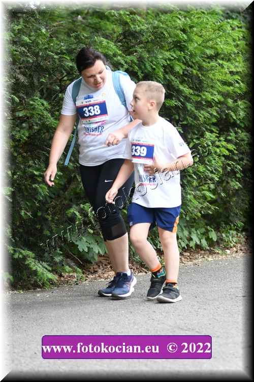 Náhled obrázku: 2022-3303-Zlin-338,339.JPG