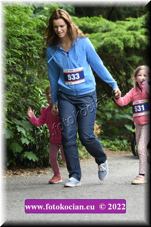 Náhled obrázku: 2022-3334-Zlin-533,531.JPG