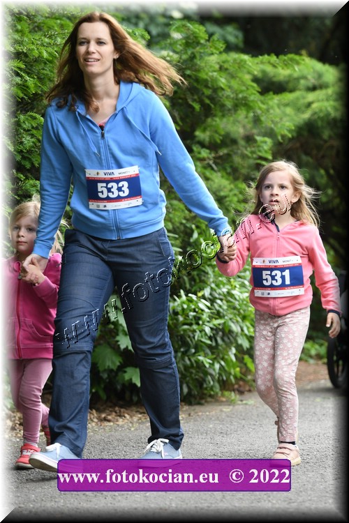 Náhled obrázku: 2022-3335-Zlin-533,531.JPG