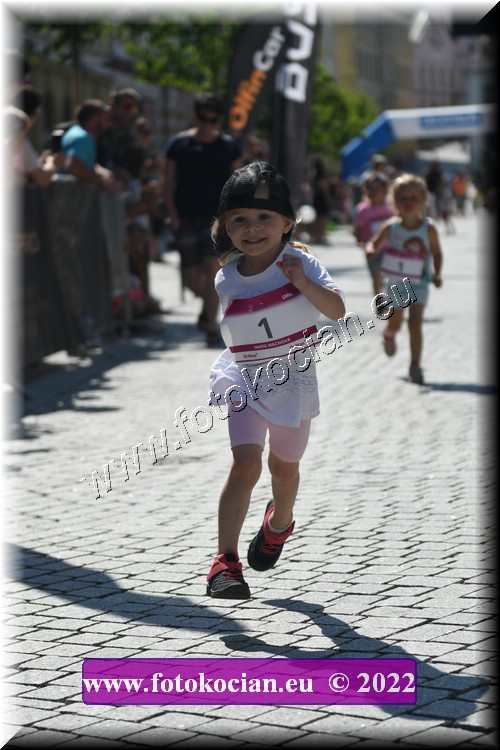 Náhled obrázku: 2022-2126-Trutnov-1.JPG