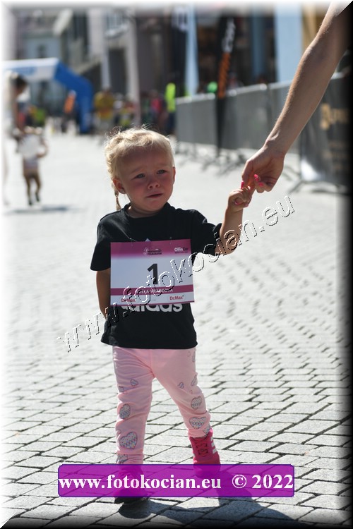 Náhled obrázku: 2022-2134-Trutnov-1.JPG