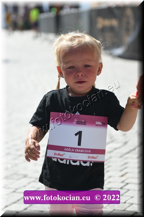 Náhled obrázku: 2022-2135-Trutnov-1.JPG