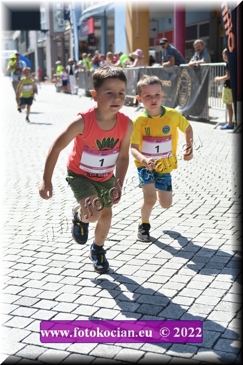 Náhled obrázku: 2022-2217-Trutnov-1.JPG