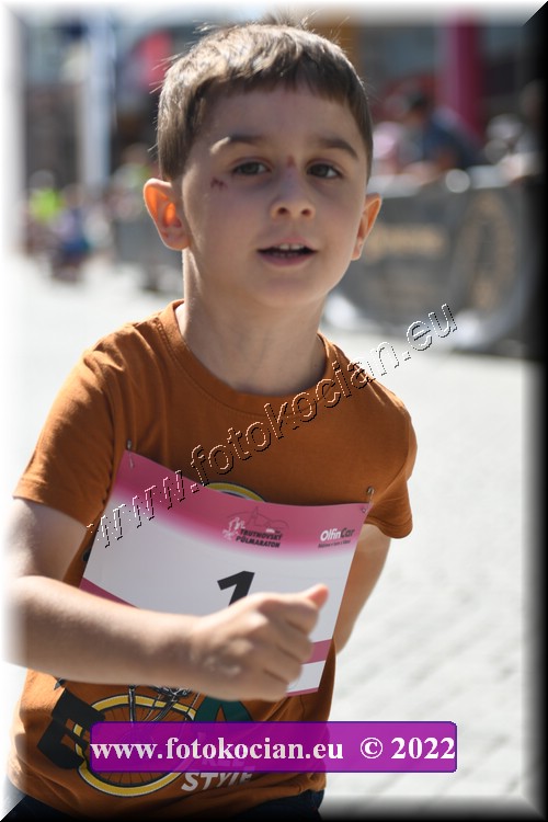 Náhled obrázku: 2022-2232-Trutnov-1.JPG