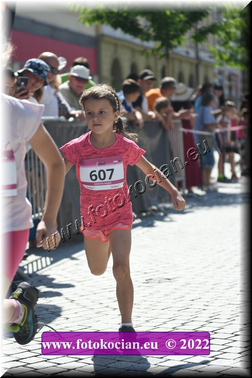 Náhled obrázku: 2022-2262-Trutnov-607.JPG