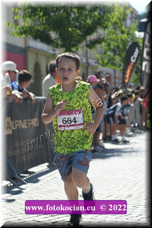 Náhled obrázku: 2022-2295-Trutnov-664.JPG