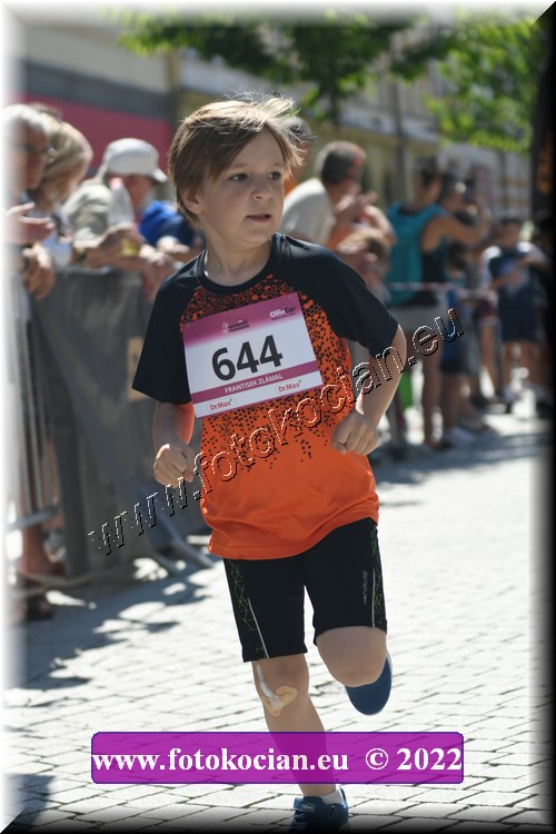 Náhled obrázku: 2022-2308-Trutnov-644.JPG