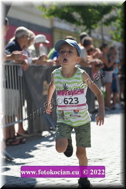 Náhled obrázku: 2022-2313-Trutnov-623.JPG