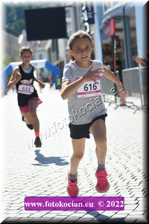 Náhled obrázku: 2022-2331-Trutnov-616.JPG