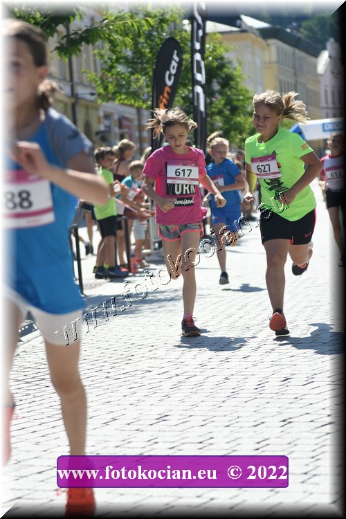 Náhled obrázku: 2022-2348-Trutnov-617,627.JPG