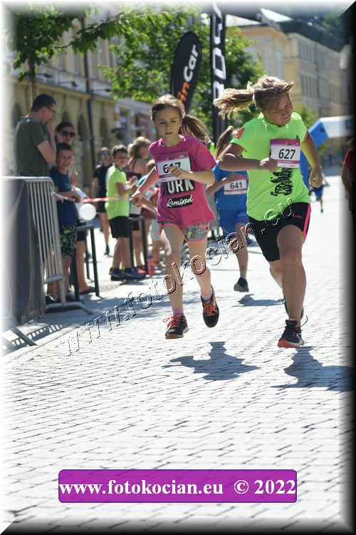 Náhled obrázku: 2022-2349-Trutnov-617,627.JPG