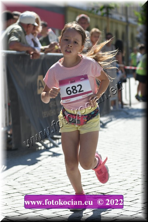 Náhled obrázku: 2022-2361-Trutnov-682.JPG