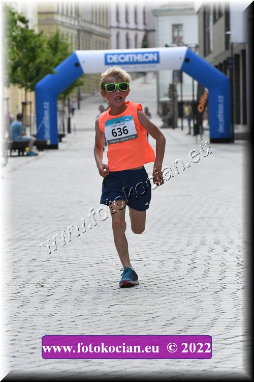 Náhled obrázku: 2022-1077-Trutnov-636.JPG